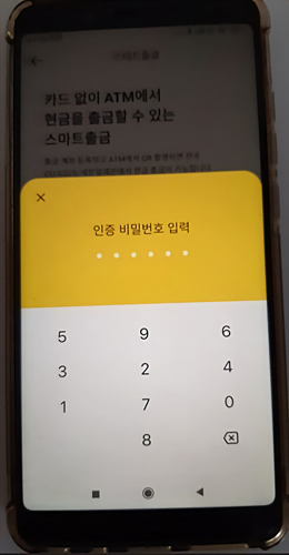 카뱅_인증비밀번호입력