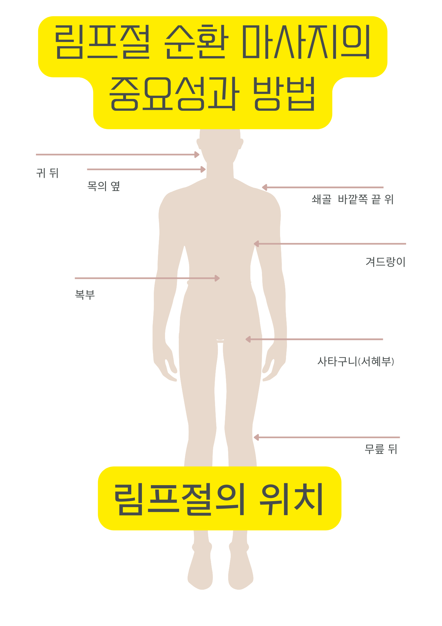 림프절 순환 마사지의 중요성과 방법 - 위치 증상 알아보기