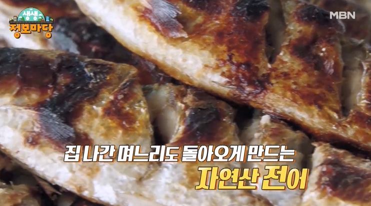 나는 자연산이다 고소한 전어 구이, 전어 회무침 횟집 경남 사천 맛집 추천
