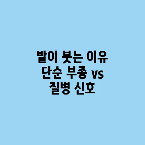 발이 붓는 이유 단순 부종 vs 질병 신호