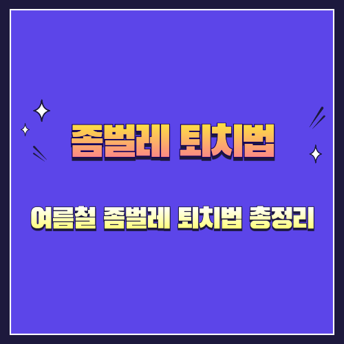 여름철 좀벌레 퇴치법 총정리