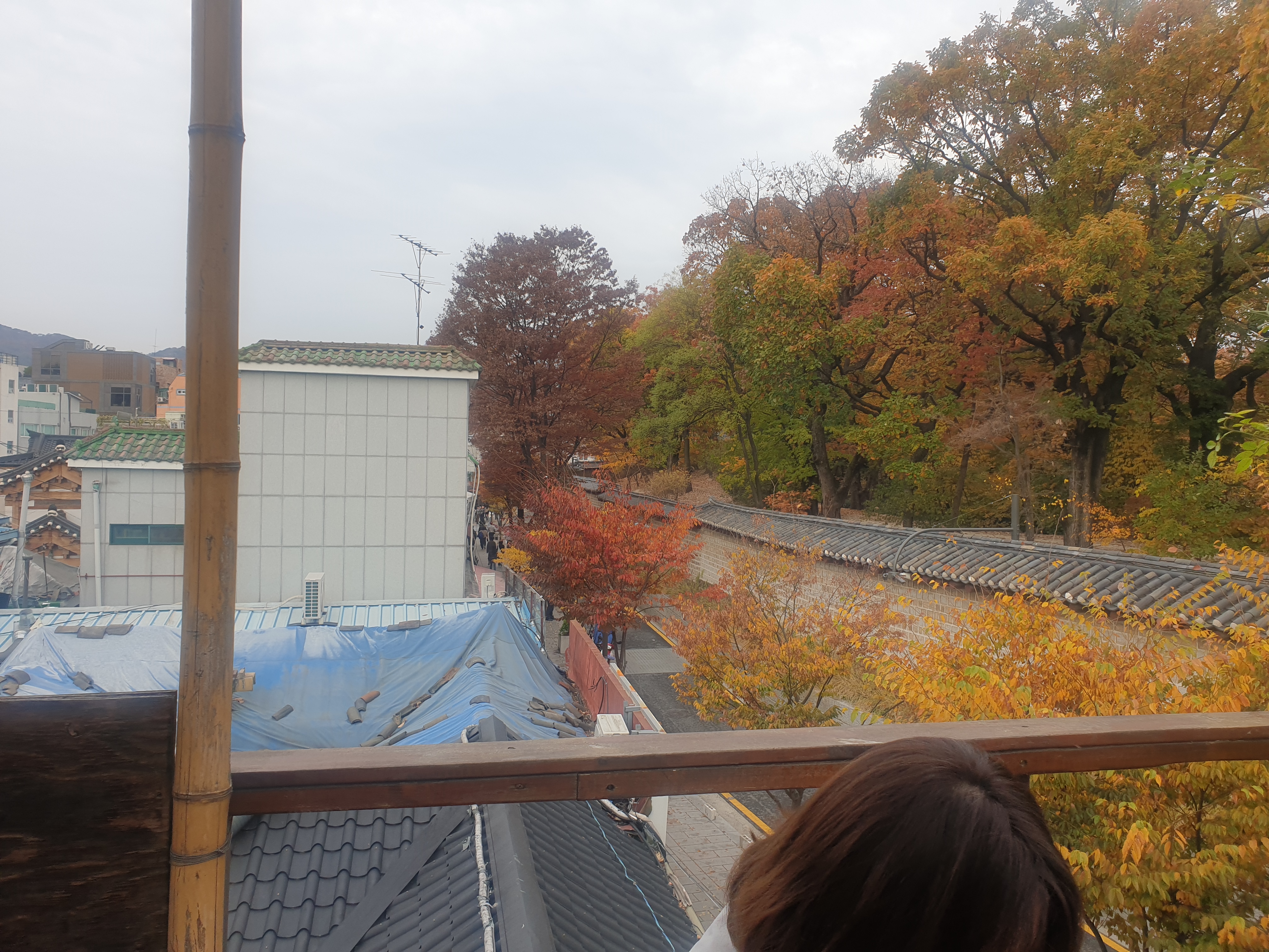 트마리 루프탑에 바라본 종묘