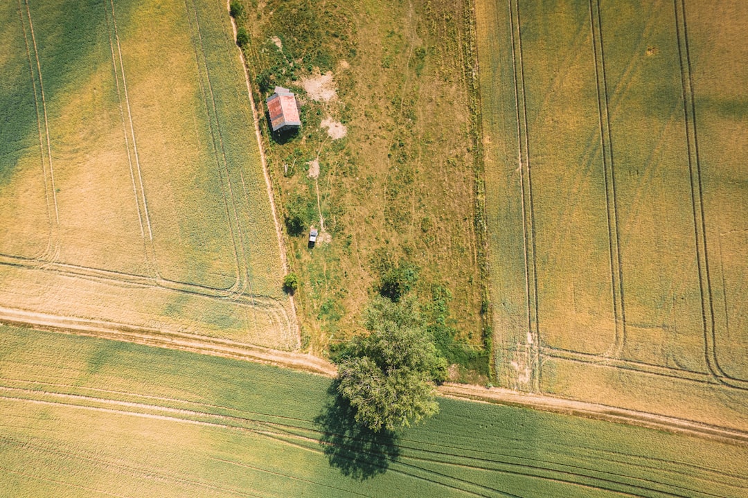 Land Use