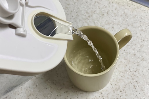 신진대사 높이기