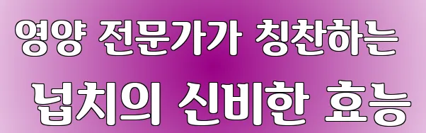 영양 전문가가 칭찬하는 넙치의 신비한 효능