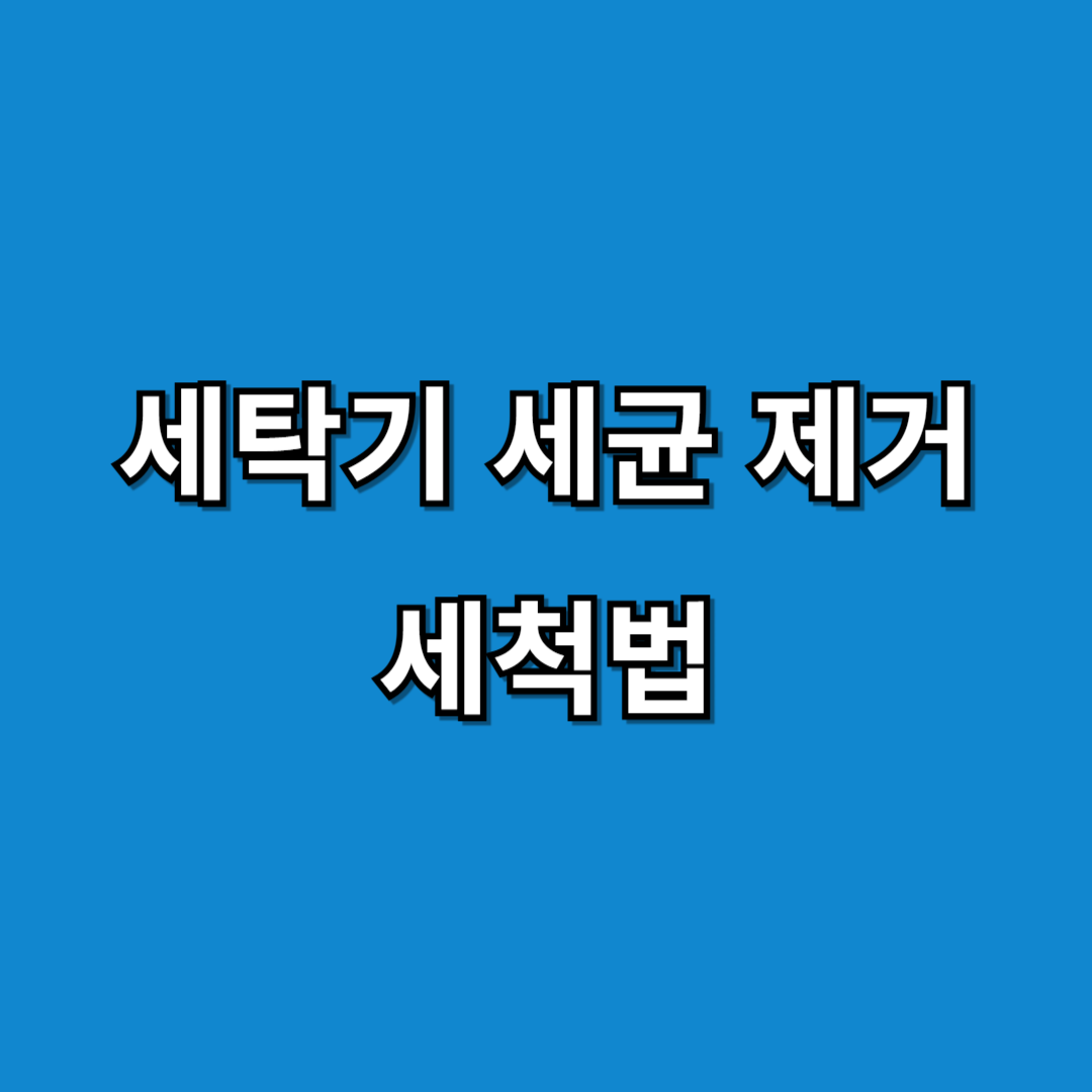 세탁기 세균 제거 세척법