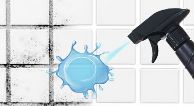 곰팡이 제거제 젤형태 벽지 천장7