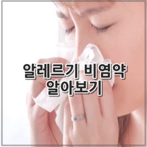 알레르기 비염약 알아보기