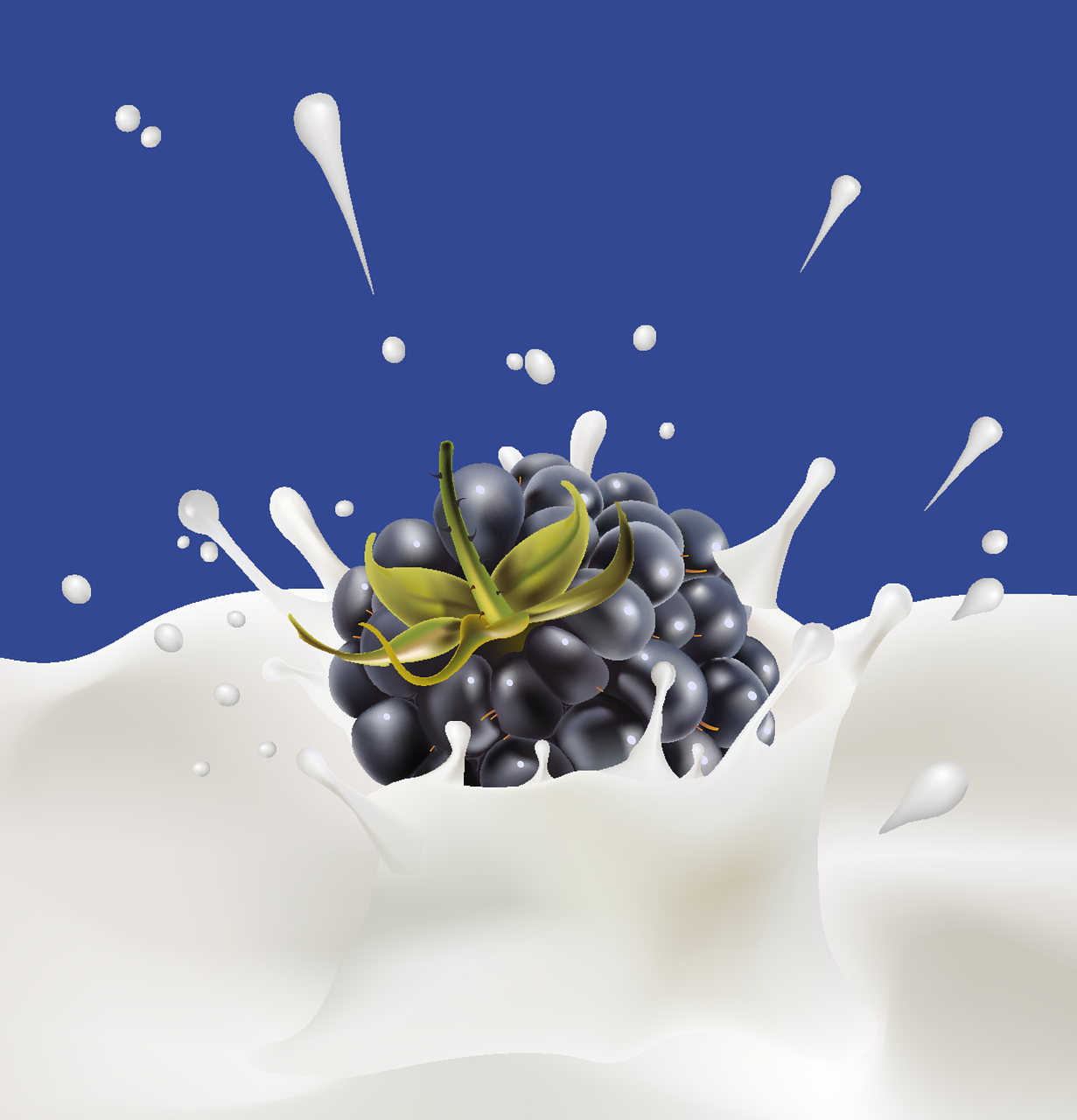 블루베리 요거트 사진