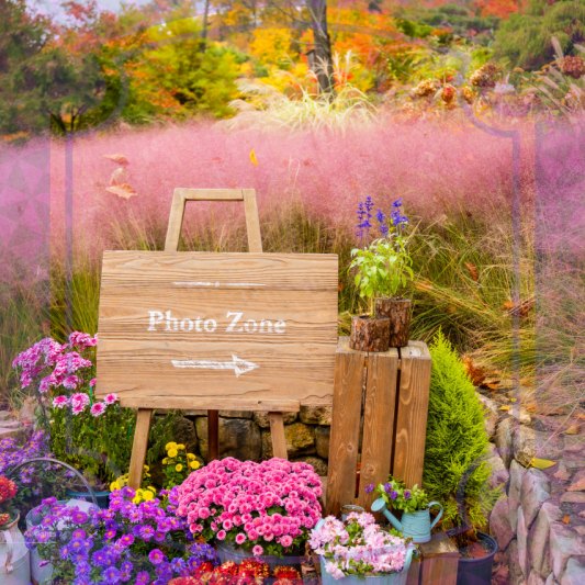 화담숲 예약방법