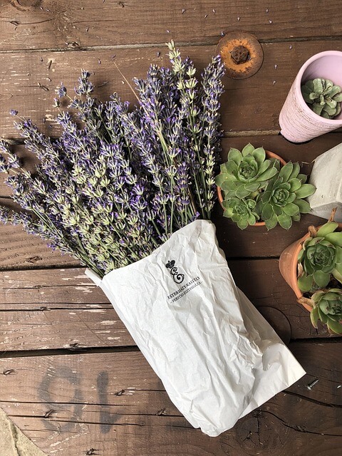 아로마오일을 활용한 안티에이징 관리