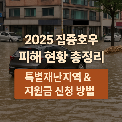 집중호우 피해 현황 총정리 특별재난지역&지원금 신청방법