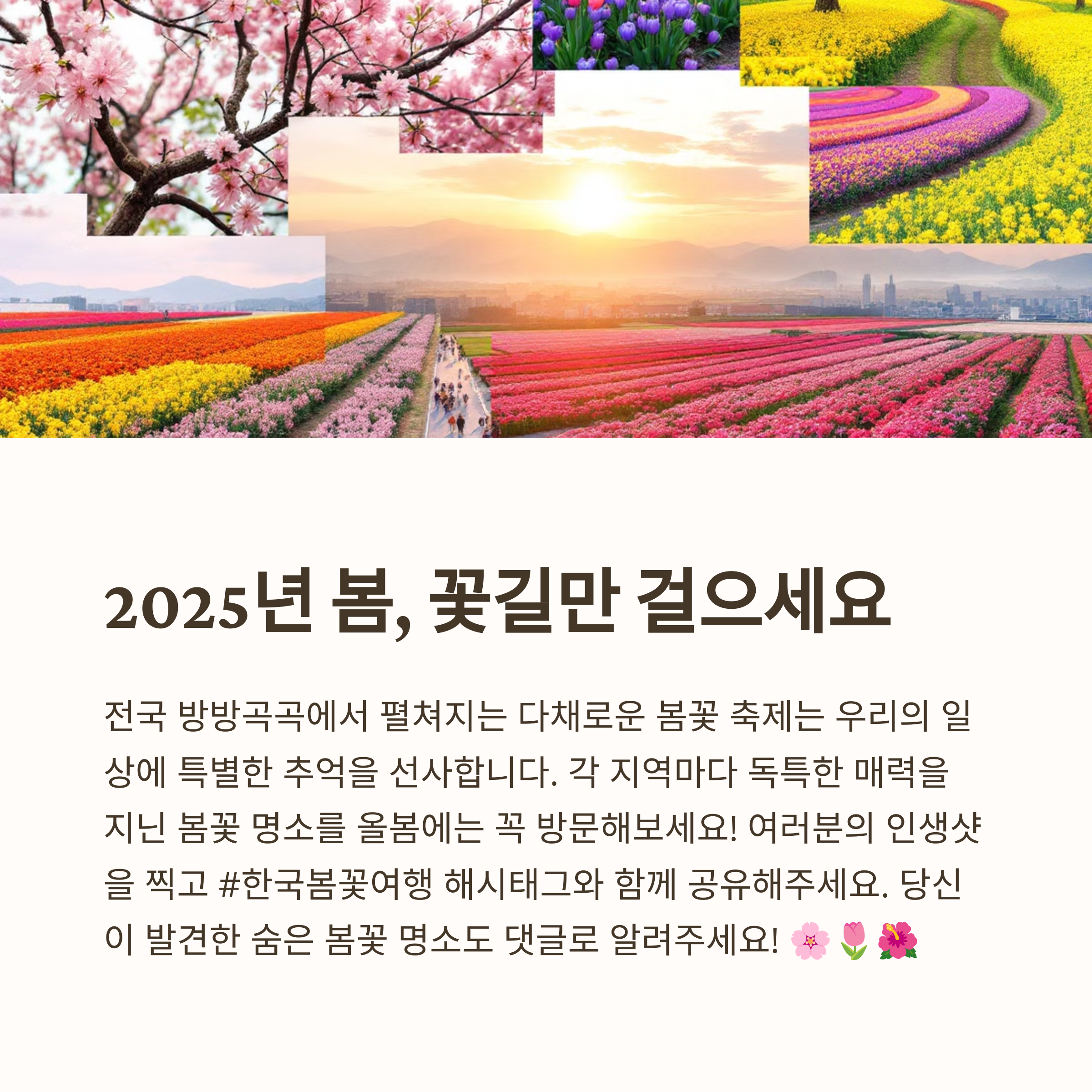 지역별 4월 축제 가이드