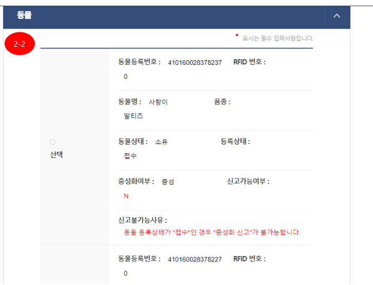반려견 등록, 자진신고 방법 총정리(2024)