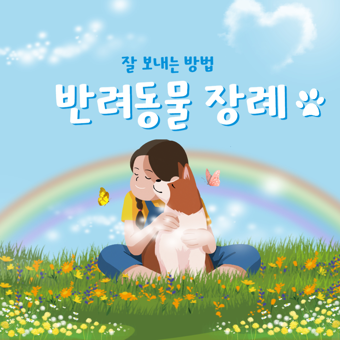 반려동물 장례