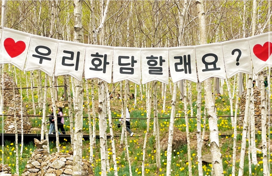 봄꽃-봄꽃축제-화담숲-수선화