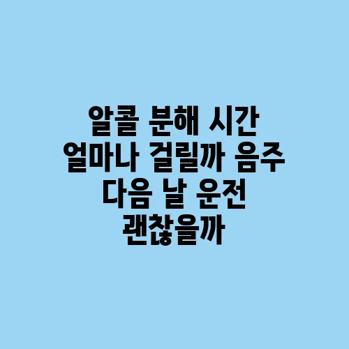 알콜 분해 시간 얼마나 걸릴까 음주 다음 날 운전 괜찮을까