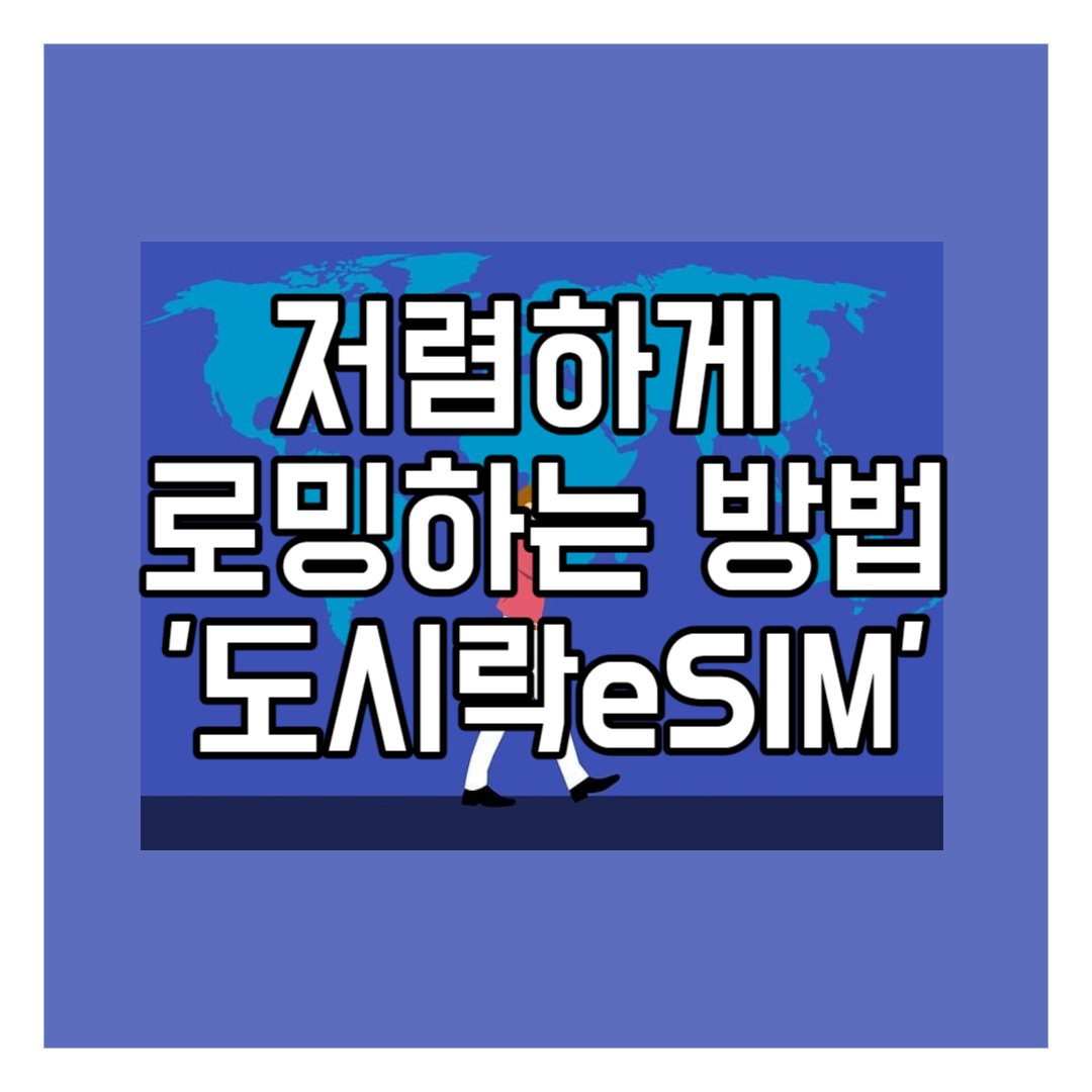 [해외여행 꿀팁] 저렴하게 로밍하는 방법