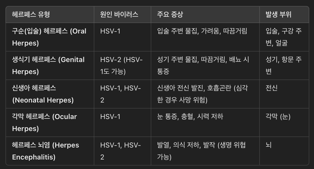 헤르페스 바이러스(HSV) 유형 &amp; 주요 증상