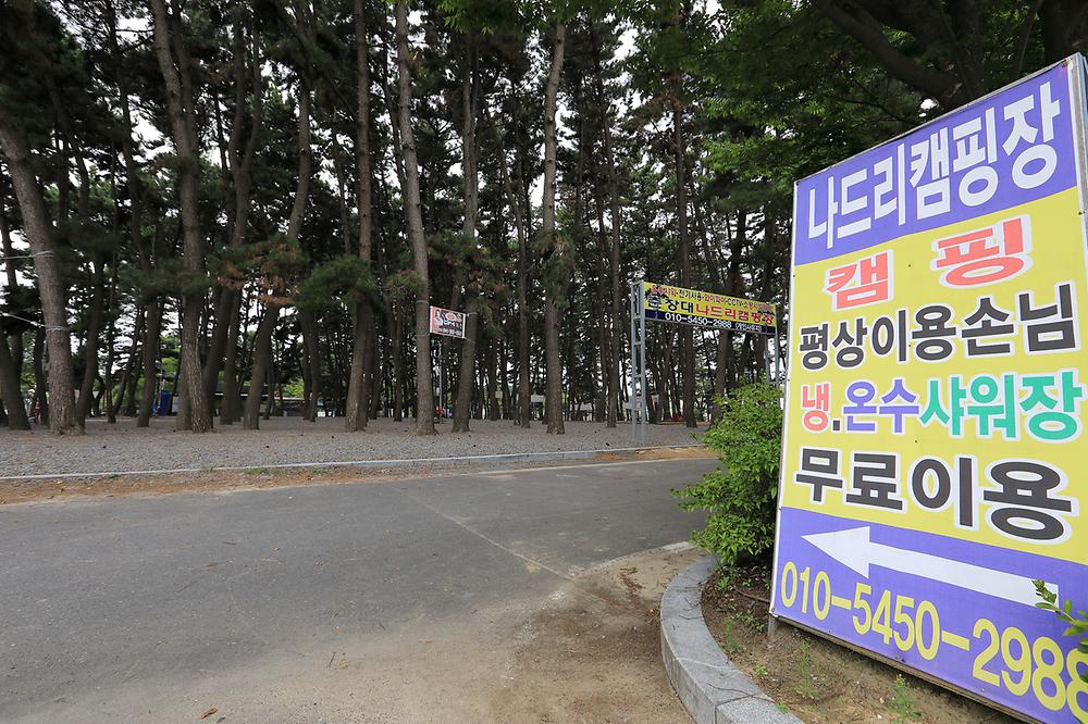 서천군 춘장대 나드리캠핑장 소개