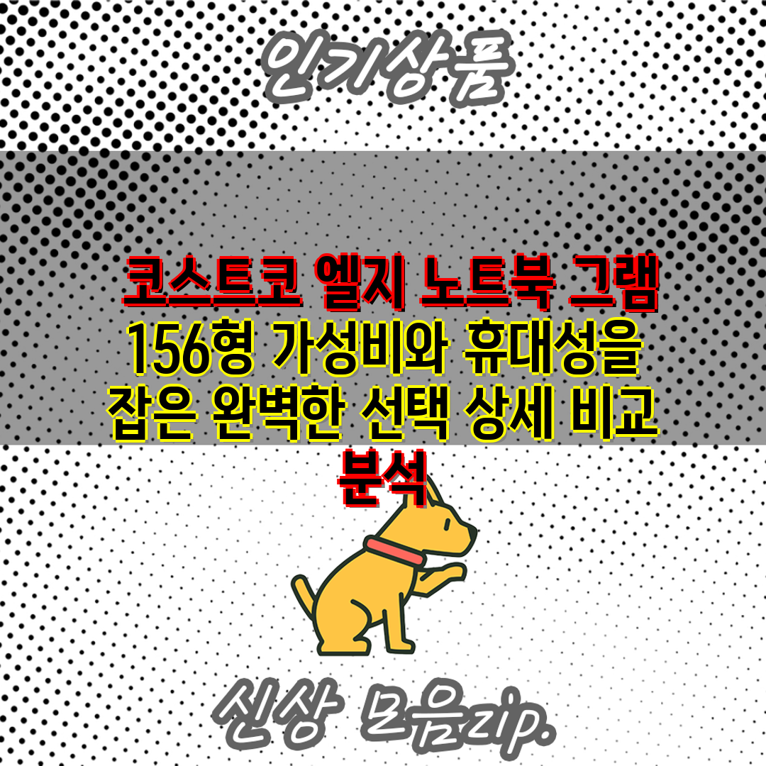  코스트코 엘지 노트북 그램 156형 가성비와 휴대성을