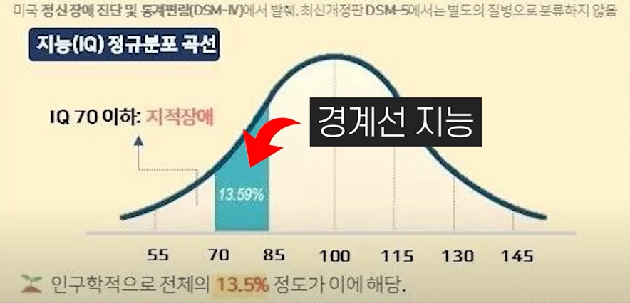 성인 경계성 지능장애 지적장애 차이점과 증상 및 치료법