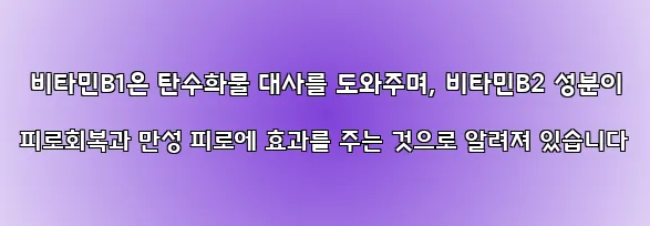  비타민B1은 탄수화물 대사를 도와주며, 비타민B2 성분이 피로회복과 만성 피로에 효과를 주는 것으로 알려져 있습니다