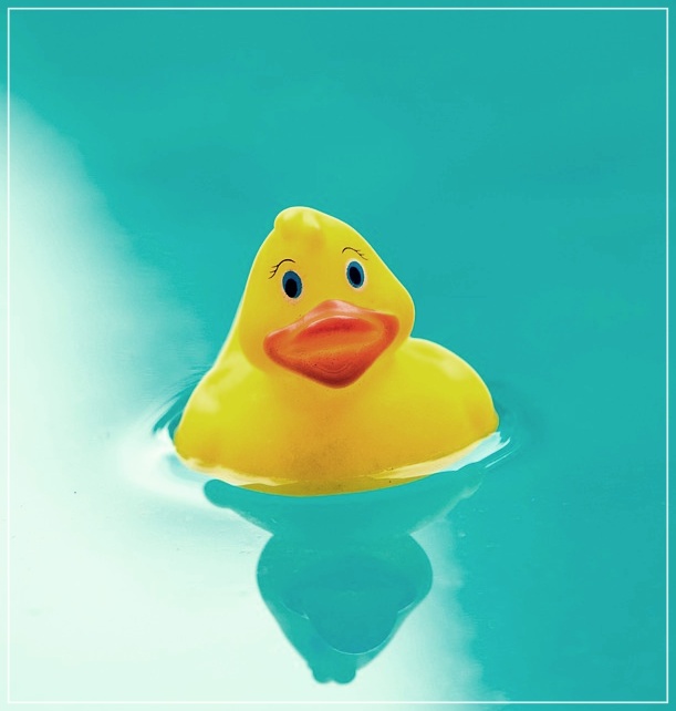 수영 강습-자유형-20