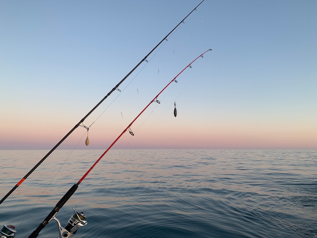 Fishing License.