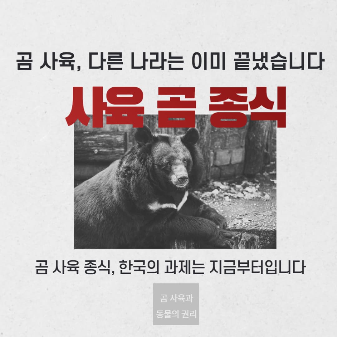사육 곰 종식, 다른 나라는 어떻게 해결했을까?