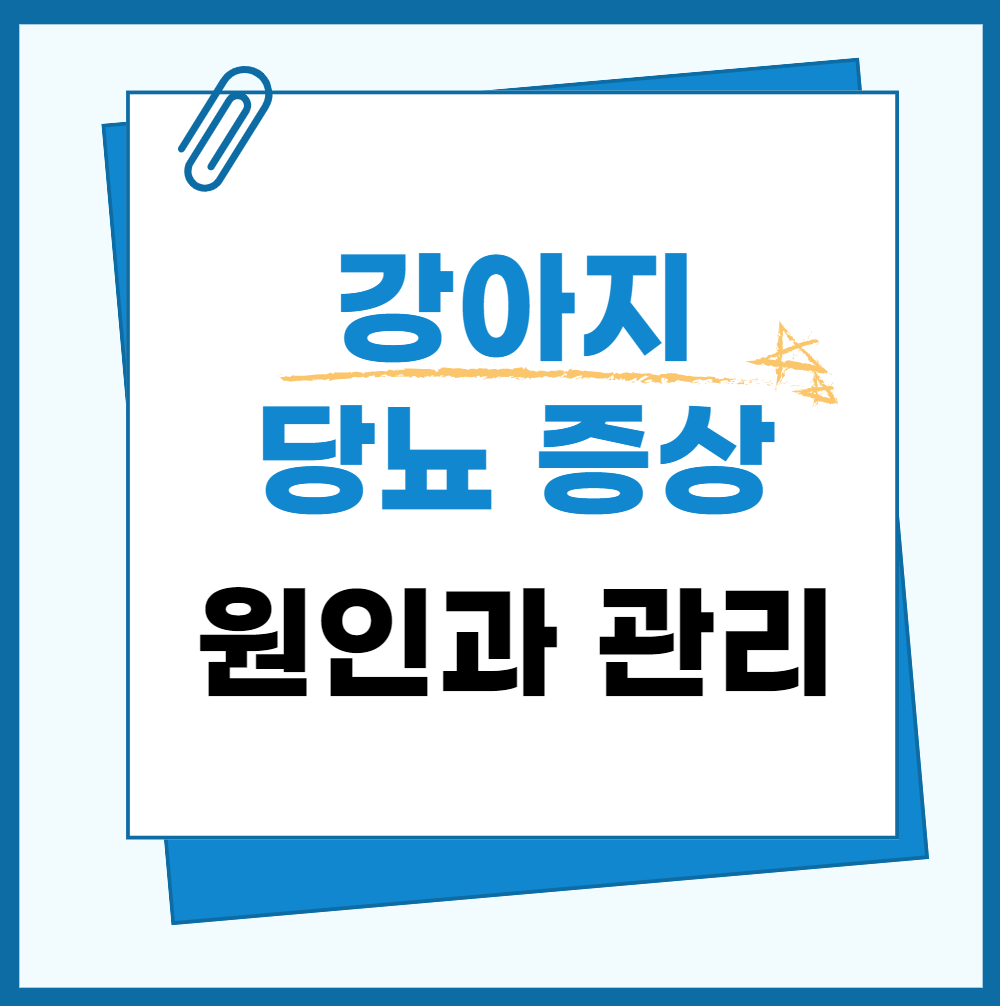 반려견-당뇨-원인과-증상-관리법