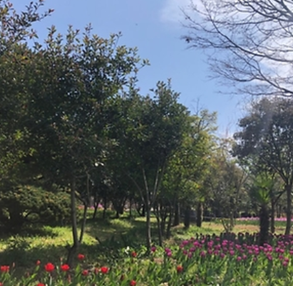 4월 전국 축제 일정