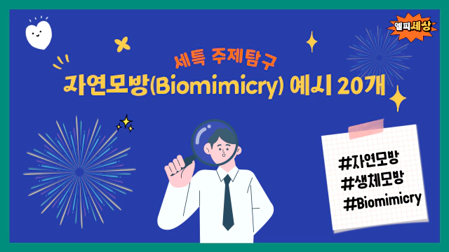 자연에서 배운 기술: Biomimicry의 힘&#44; 자연모방 예시 20개! 세특 심화 탐구주제 (통합과학&#44; 물리&#44; 화학&#44; 생명과학&#44; 지구과학 학생부)