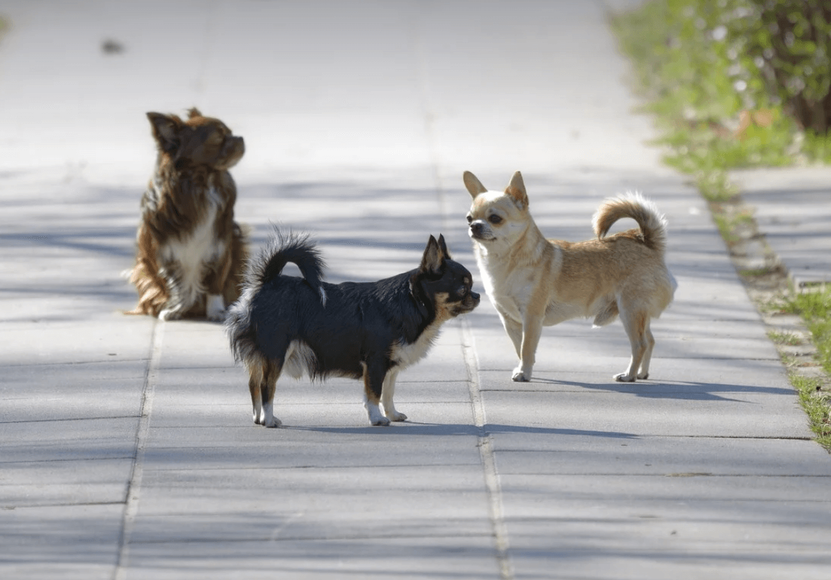자외선과 비타민D 결핍&amp;#44; 자외선 차단할까? vs. 그래도 쬐는게 좋을까?