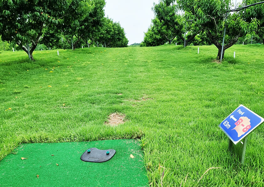 경상북도 경산 일월파크골프장 (일월 피닉스파크골프클럽) 소개