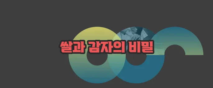 탄수화물이 많은 음식 자세히 알아볼게요