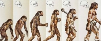 창조론과 진화론