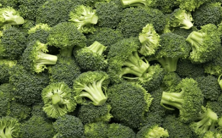 브로콜리 (Broccoli)