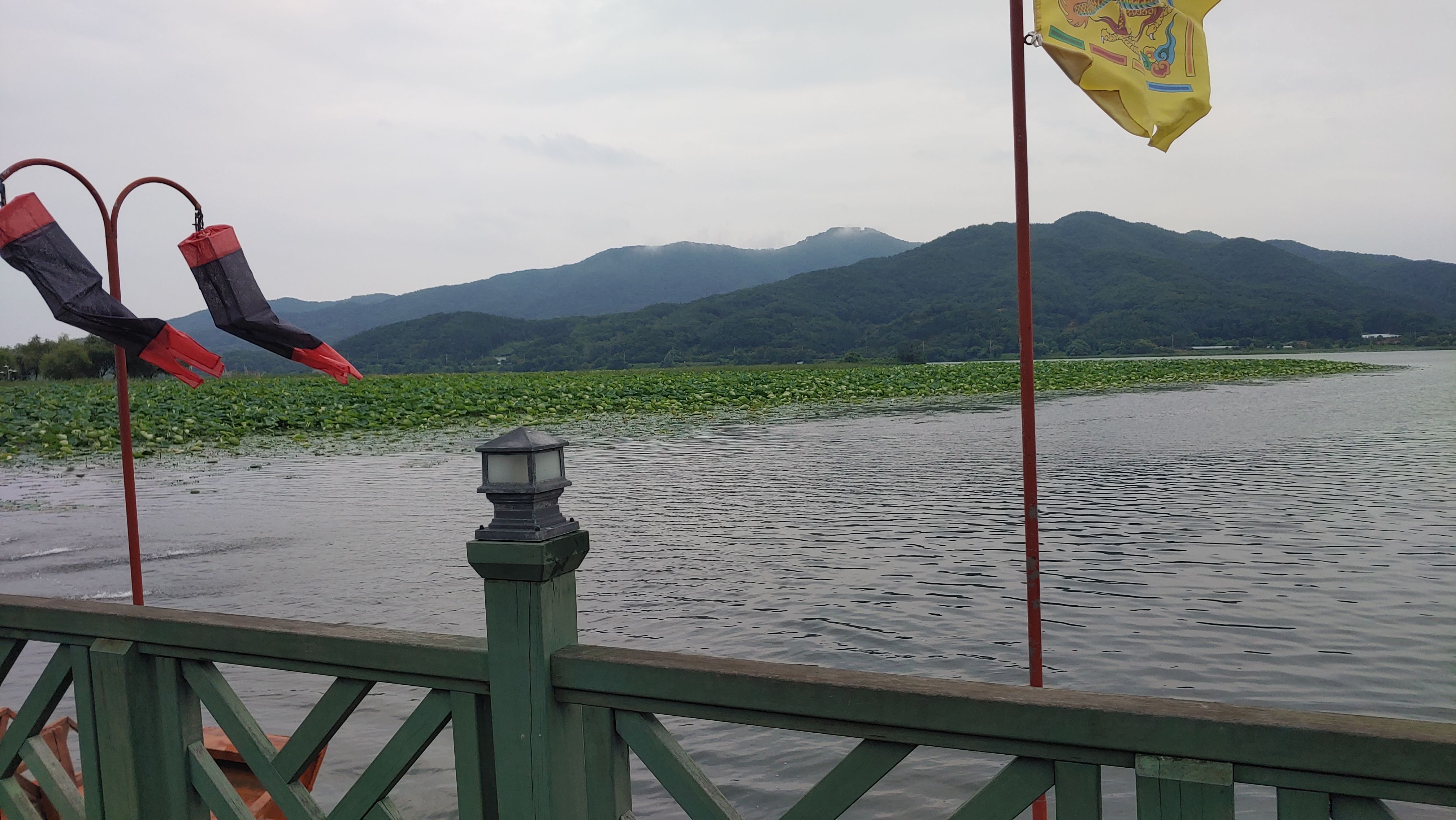 강변 산책길, 나무길, 강과 하늘이 함께 담기는 풍경