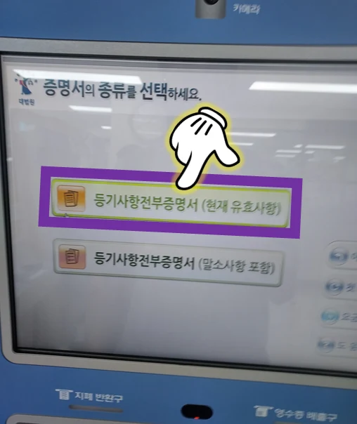 유효사항-또는-말소사항-중-선택