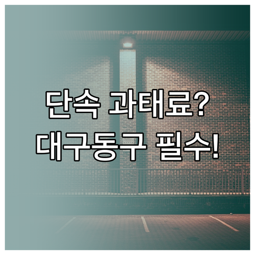 불법 주정차 단속 알림 서비스 대구 ..