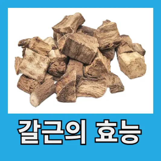 갈근의 효능