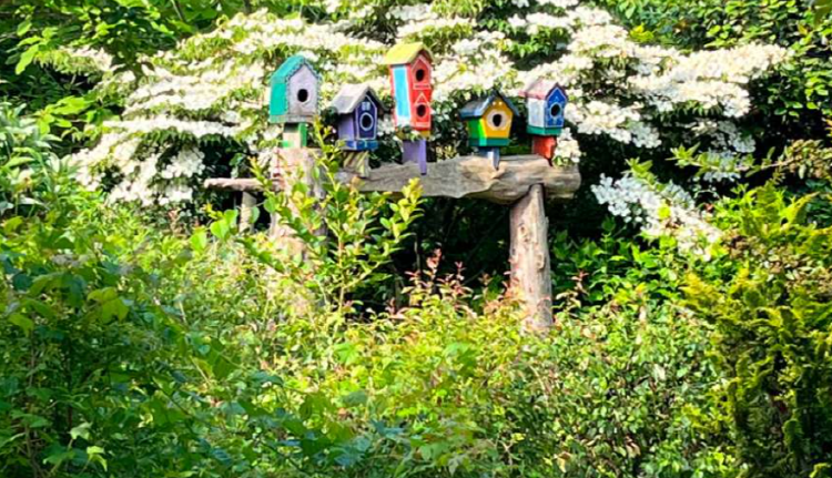 팜카밀레 허브농원