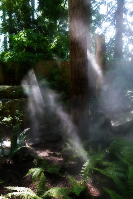 가습기 선정 방법