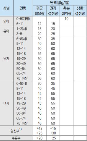 한국인 단백질 하루 섭취량