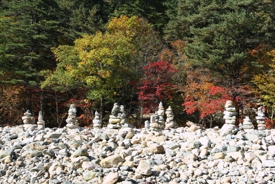 설악산 국립공원 야영장 예약