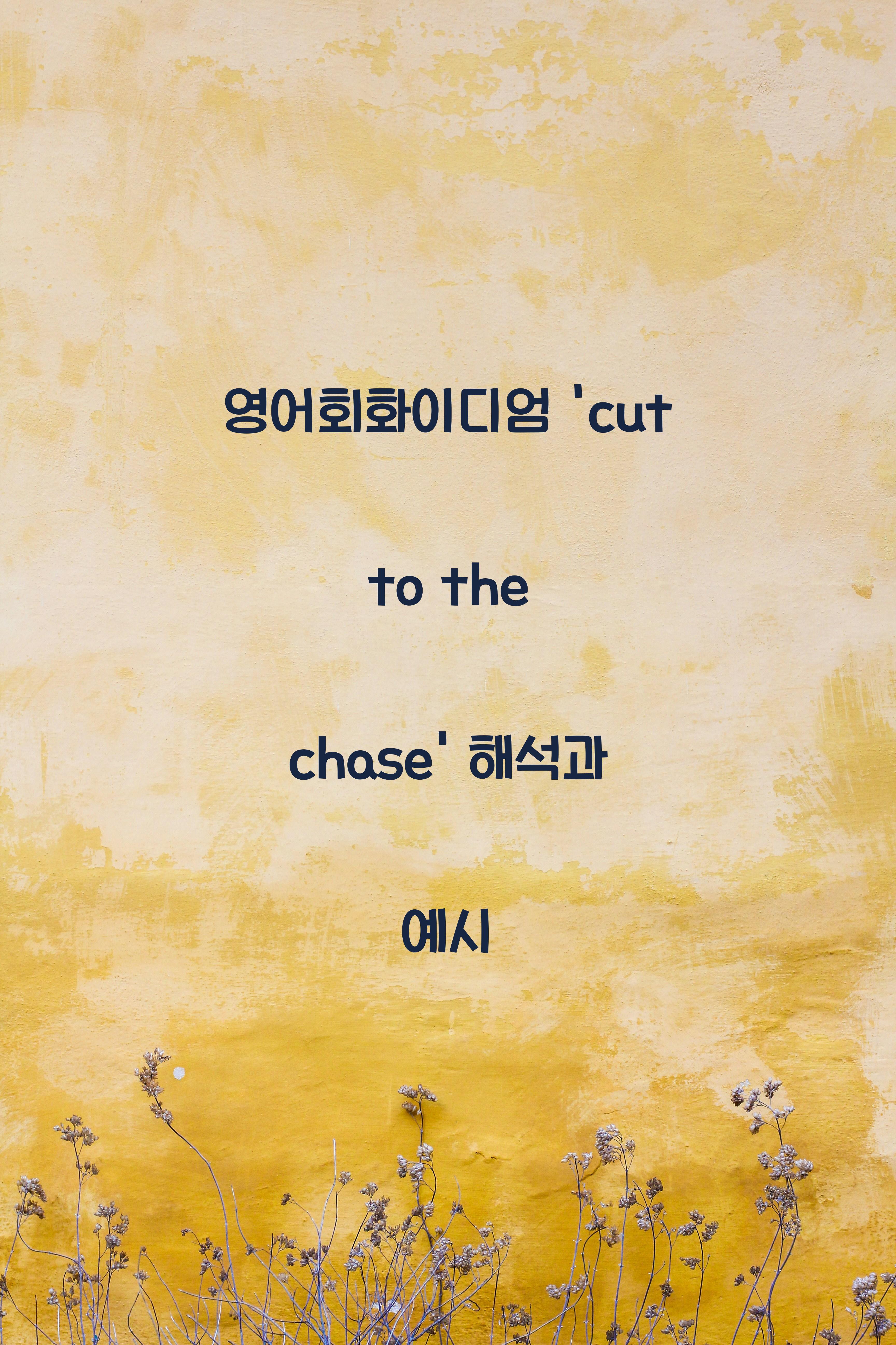 영어회화이디엄