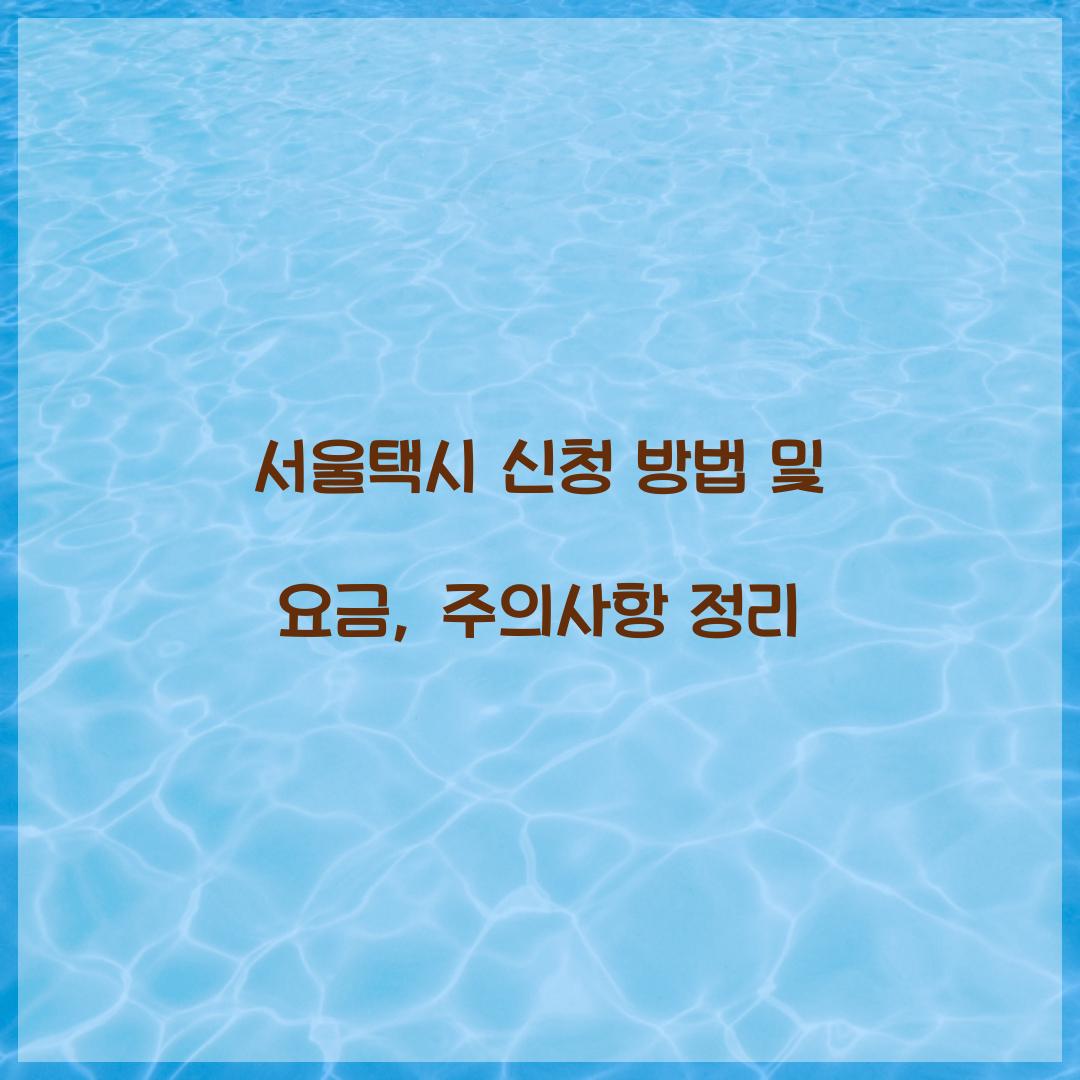 서울택시 신청