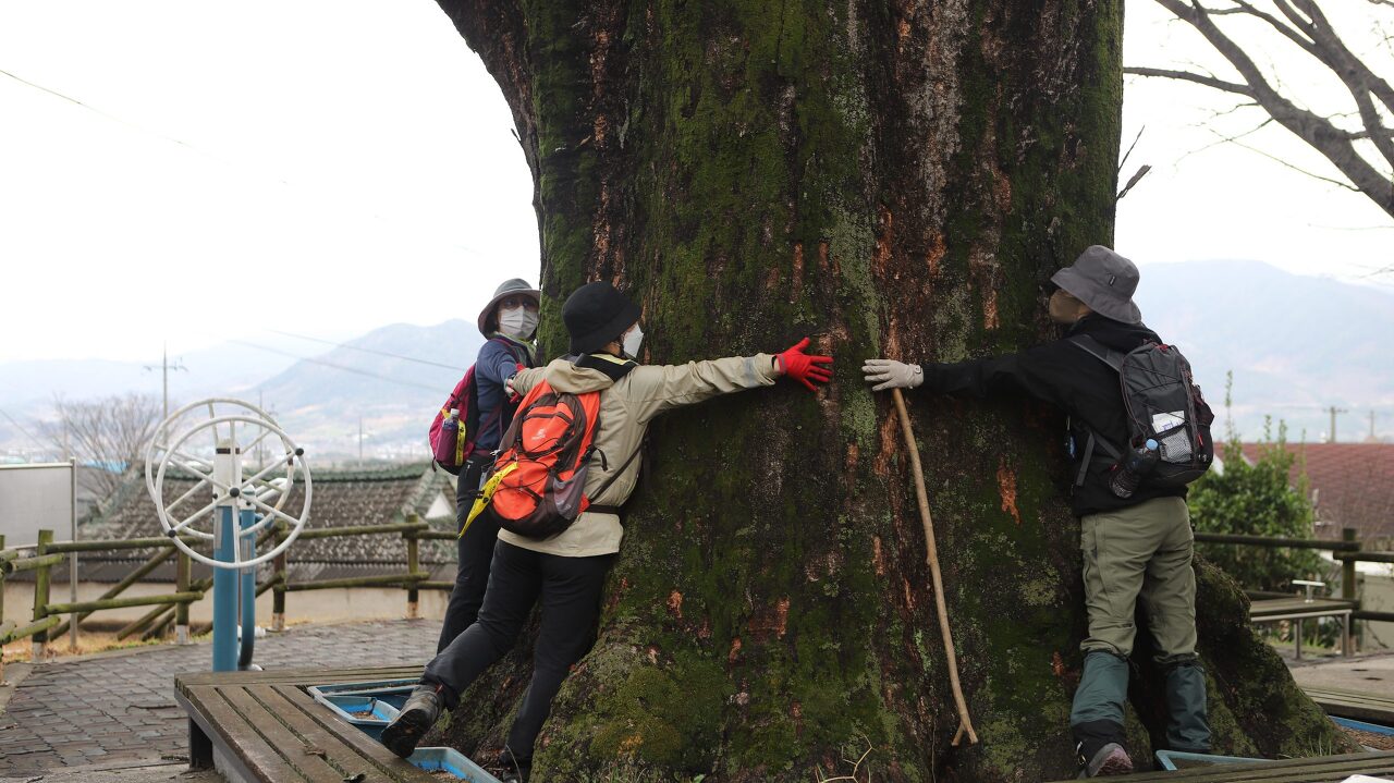 지리산 둘레길 오미-용두갈림길-상사마을-지리산탐방안내소-수한마을-방광 코스 소개-9
