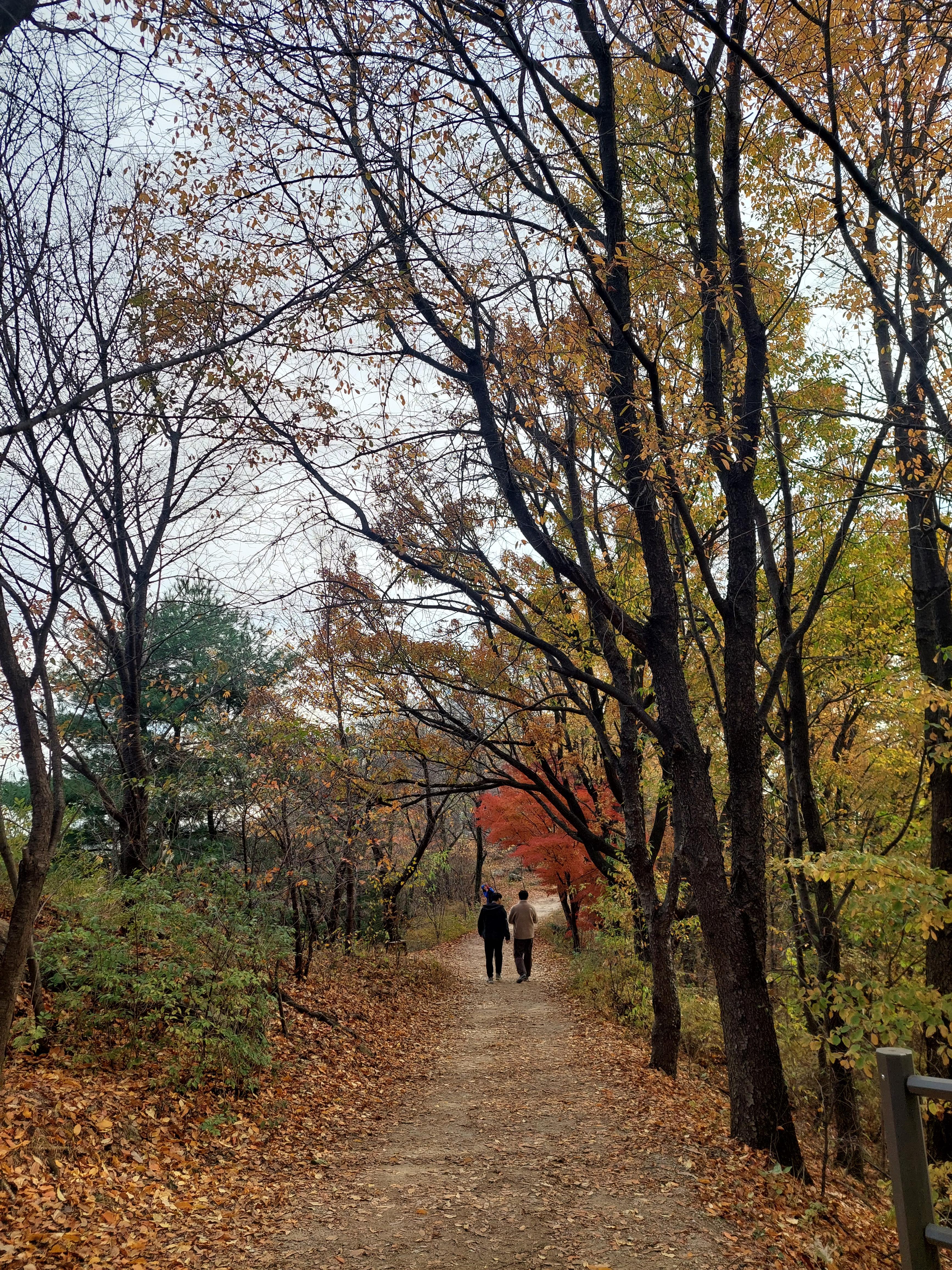안산